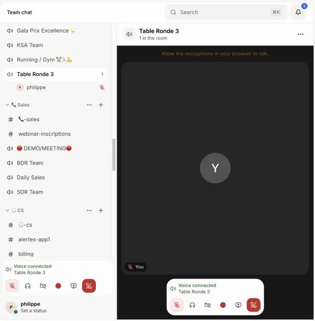 La barre du salon vocal avec le bouton rouge Enregistrer